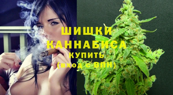 прущий лед Инта