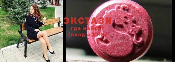 ECSTASY Инсар