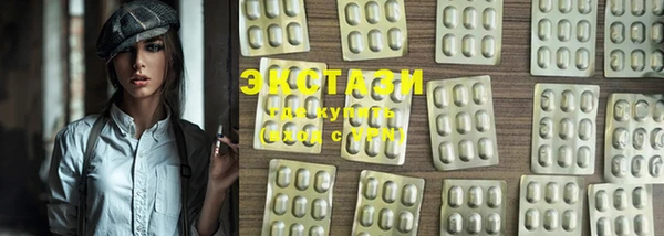 ECSTASY Инсар