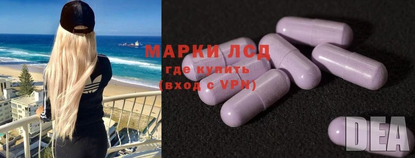 ECSTASY Инсар