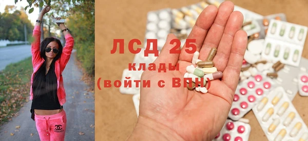 ECSTASY Инсар