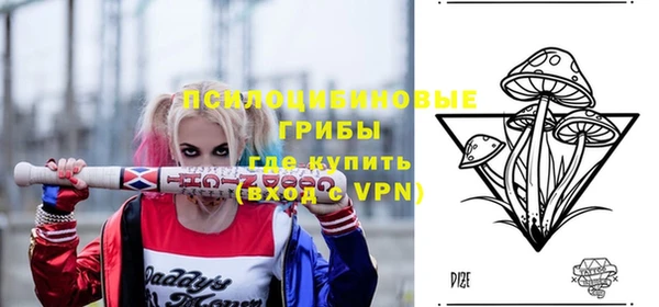прущий лед Инта