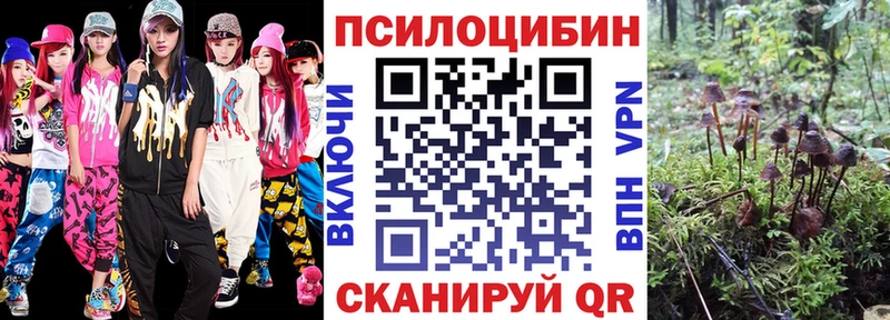 Купить  Джанкой  Галлюциногенные грибы мицелий 