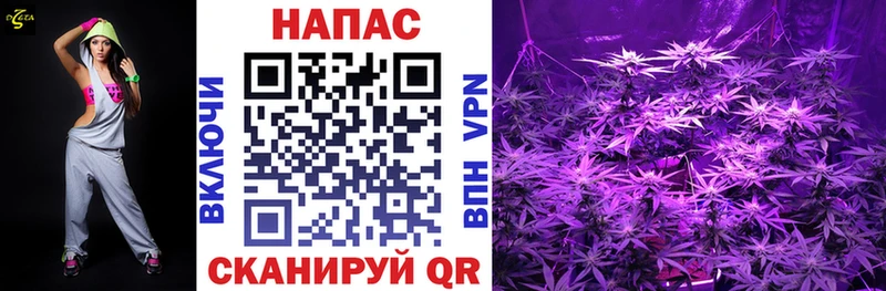 Бошки марихуана LSD WEED  Купить закладки  Джанкой 
